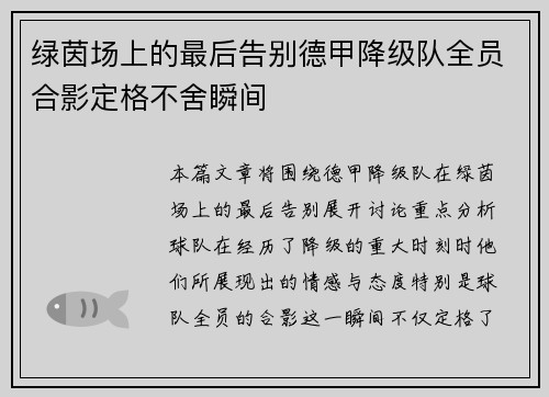 绿茵场上的最后告别德甲降级队全员合影定格不舍瞬间